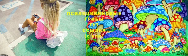 тгк Алексеевка